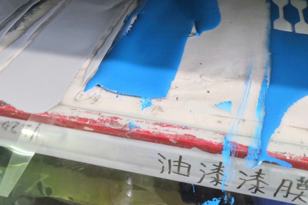 表面漆檢測