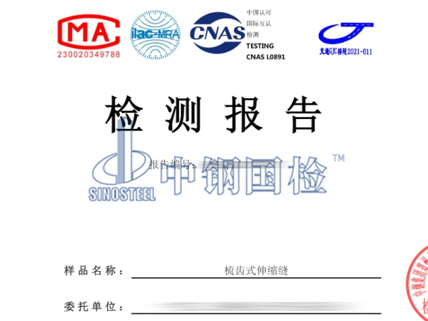 梳齒式伸縮縫檢測報(bào)告