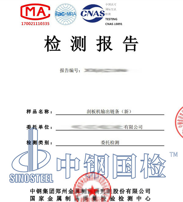 鏈條檢測報告