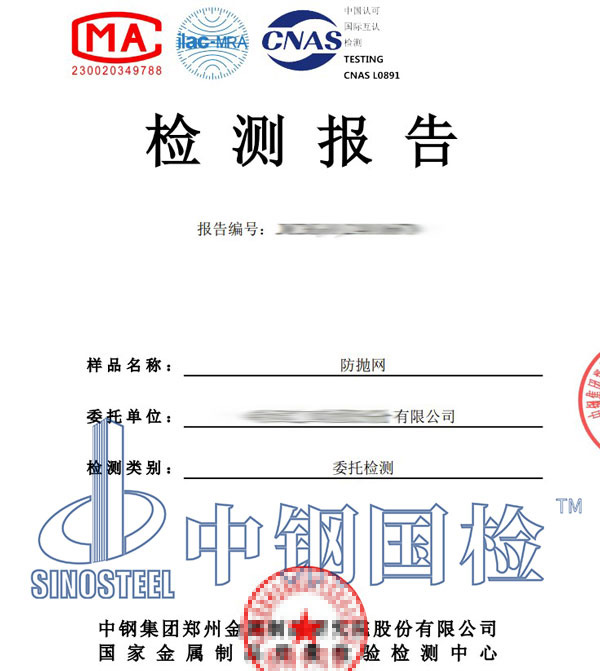 防拋網(wǎng)檢測報(bào)告