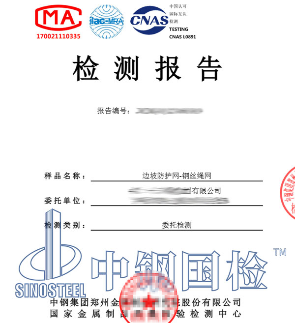邊坡防護網(wǎng)檢測報告