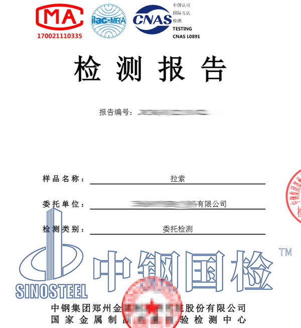 拉索檢測報告