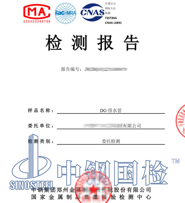 管網(wǎng)檢測報(bào)告