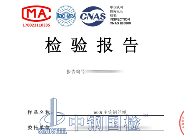 600t主鉤鋼絲繩無(wú)損檢測(cè)報(bào)告