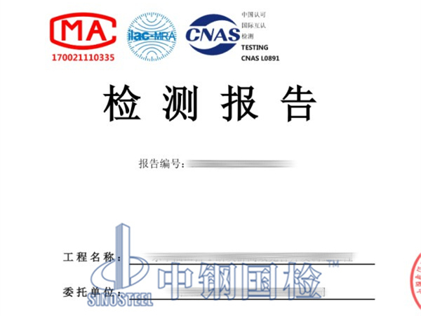 鋼結(jié)構(gòu)承載力檢測報告