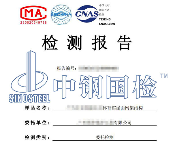 網(wǎng)架承載力檢測報告