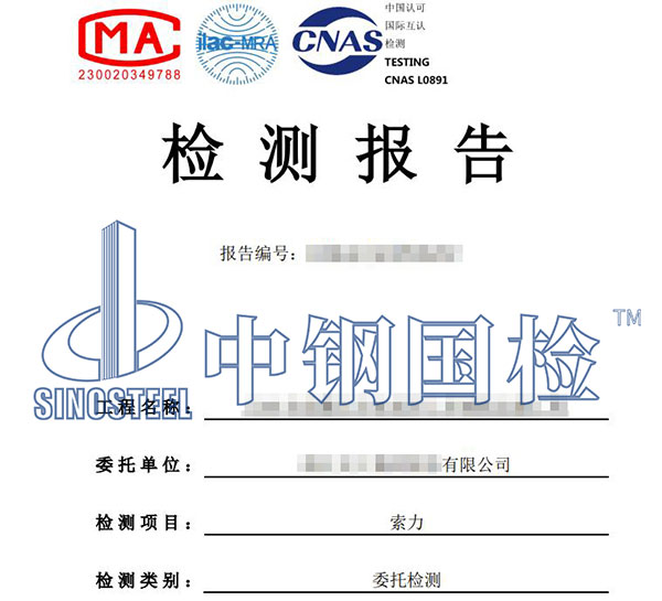 老舊橋梁吊索檢測(cè)報(bào)告