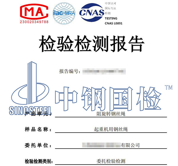 起重機(jī)吊具檢測報(bào)告